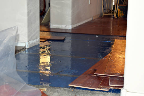 Professional Basement Water Removal technician working in Brownfield, ME